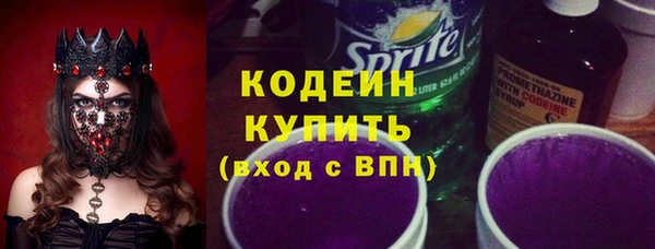 стаф Инта