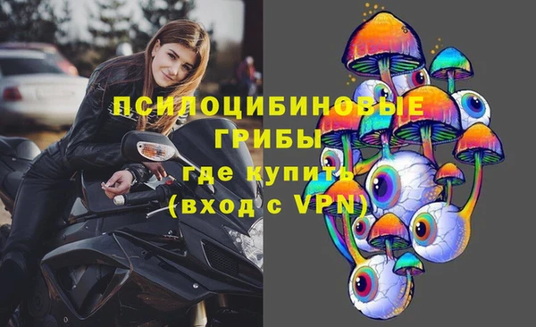 спайс Касимов