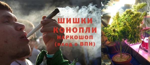 скорость Каменногорск