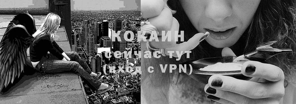 спайс Касимов